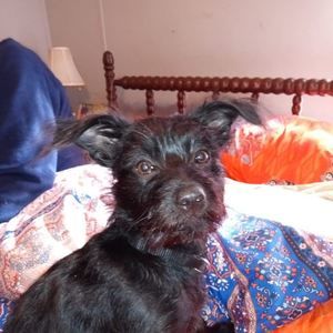 Meet your Posher, Doreen